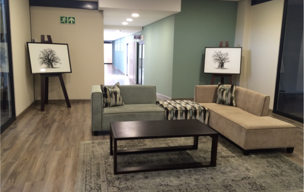 Offices Reception Area After